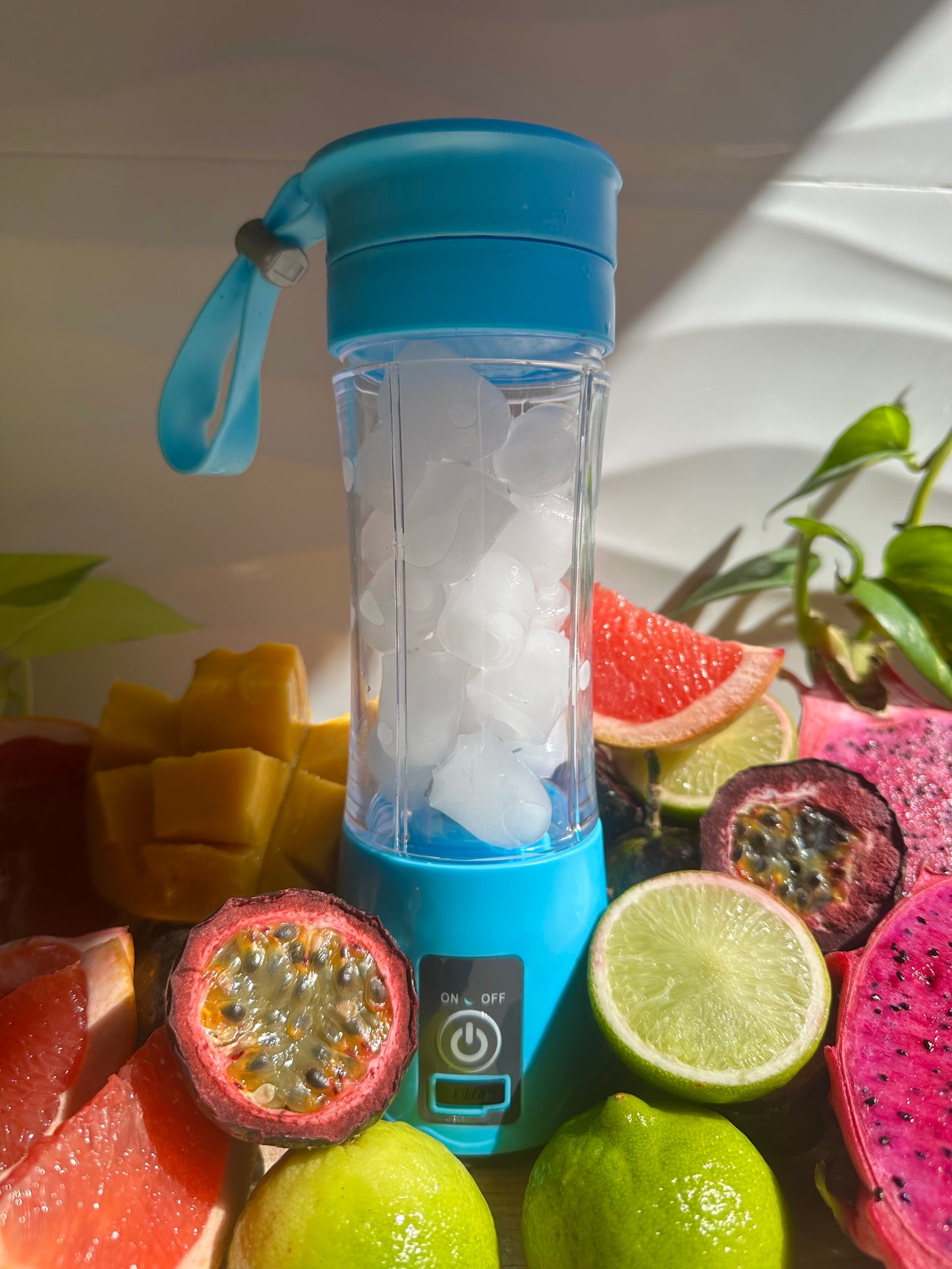 BlendnGo Portable Blender